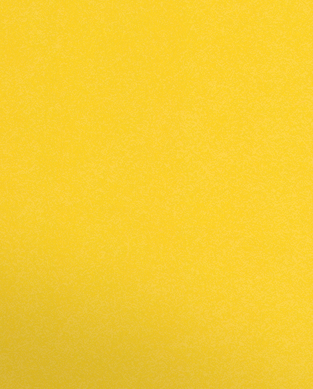 Lemon Drop Vellum 100lb 9 1/2 x 11 3/4 Two Pocket Folders with 4 1/2 Inch Pockets and 1 Inch Reinforced Top and Edges
