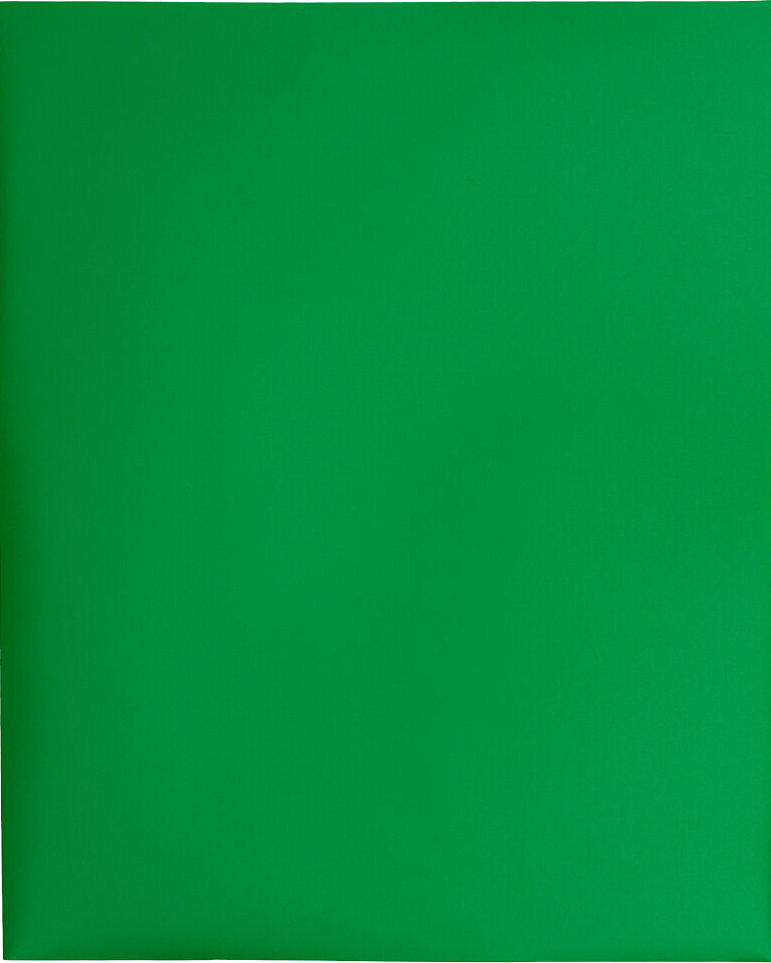 Green 9 x 12 Plastic Pop Folders