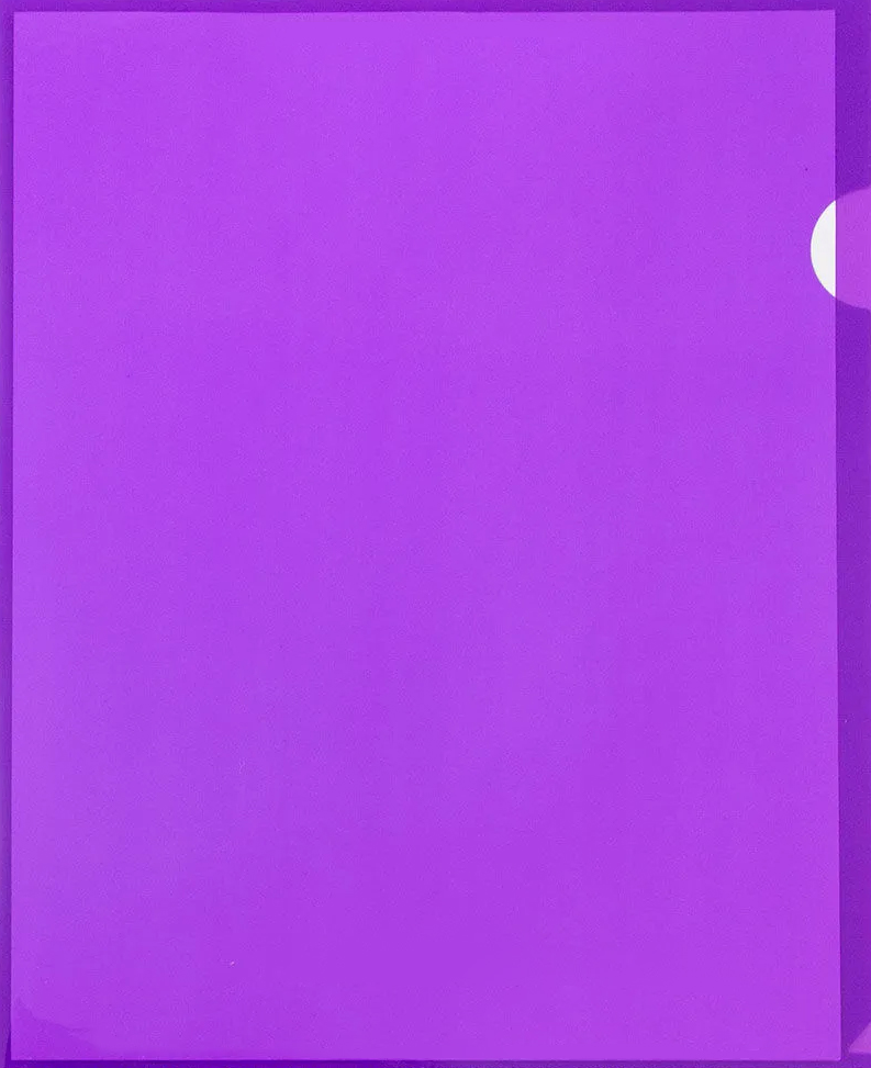 Purple Plastic Sleeves