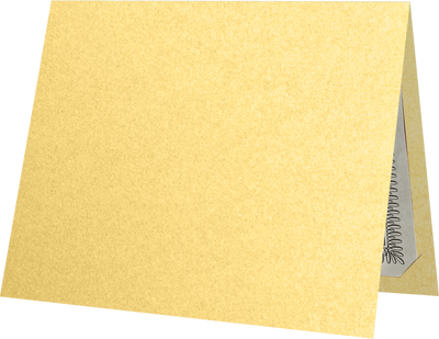 Gold Metallic 9 1/2 x 12 Landscape Certificate Holders with Square Corner Slits