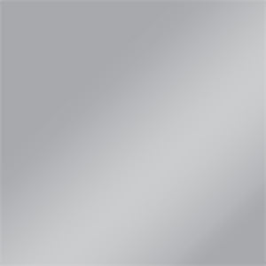 Dull Silver color swatch