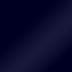 Dark Navy color swatch