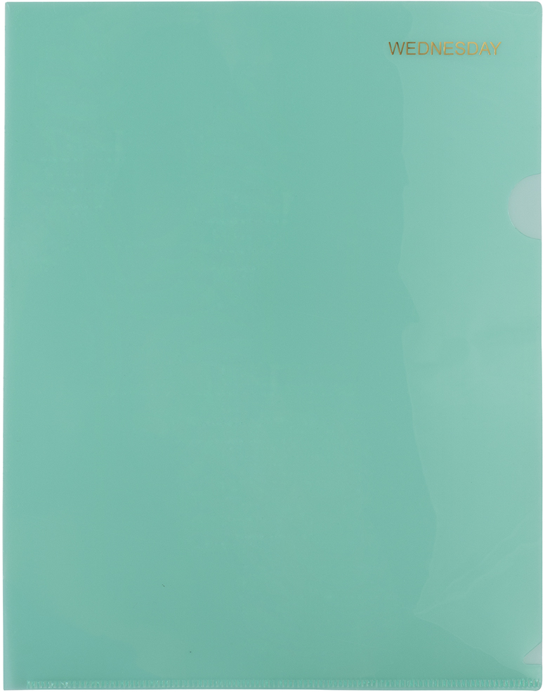 Assorted Days of the Week Plastic Sleeves - 5 Pack