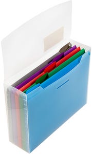 Clear Storage Box with 5 Assorted Files